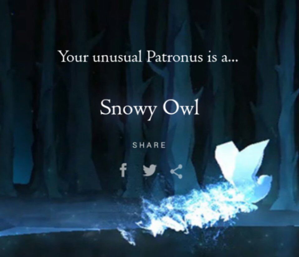 oftropicals's tweet image. I retook the tests on Pottermore and *big surprise* i'm not Ravenclaw anymore :( Everytime I retook it (every year), it becomes different.