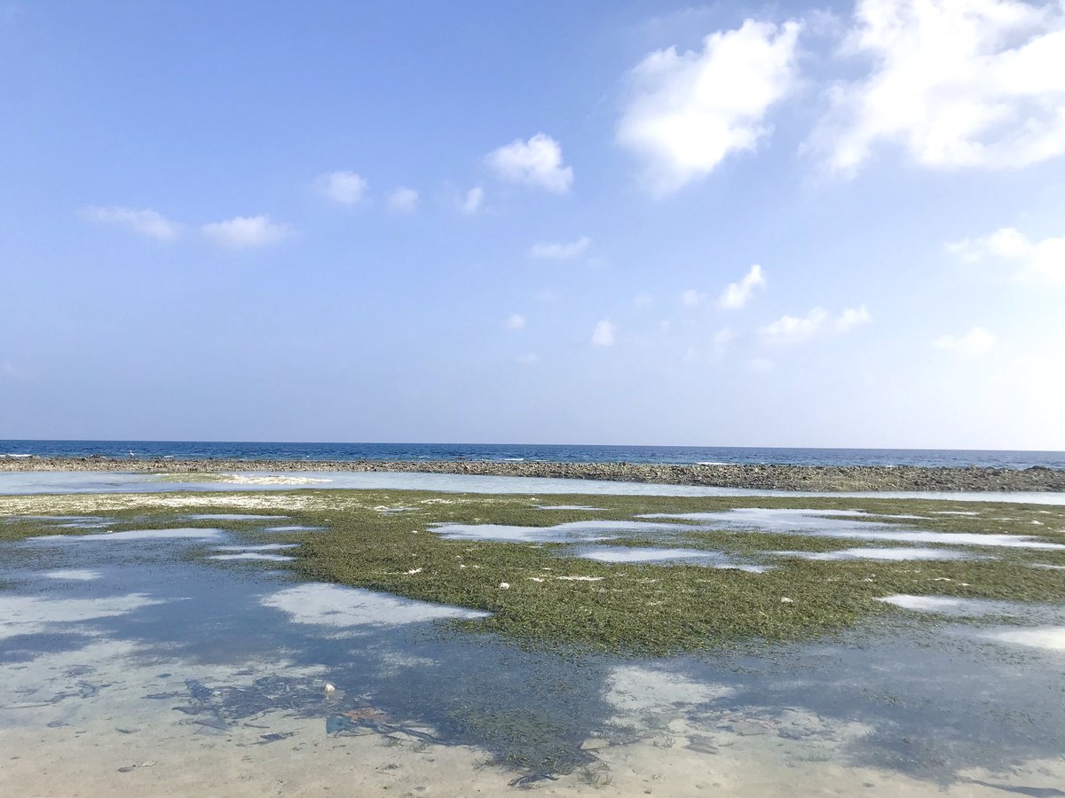 nuhasoliht's tweet photo. AA. Rasdhoo https://t.co/TlJv29ucS5