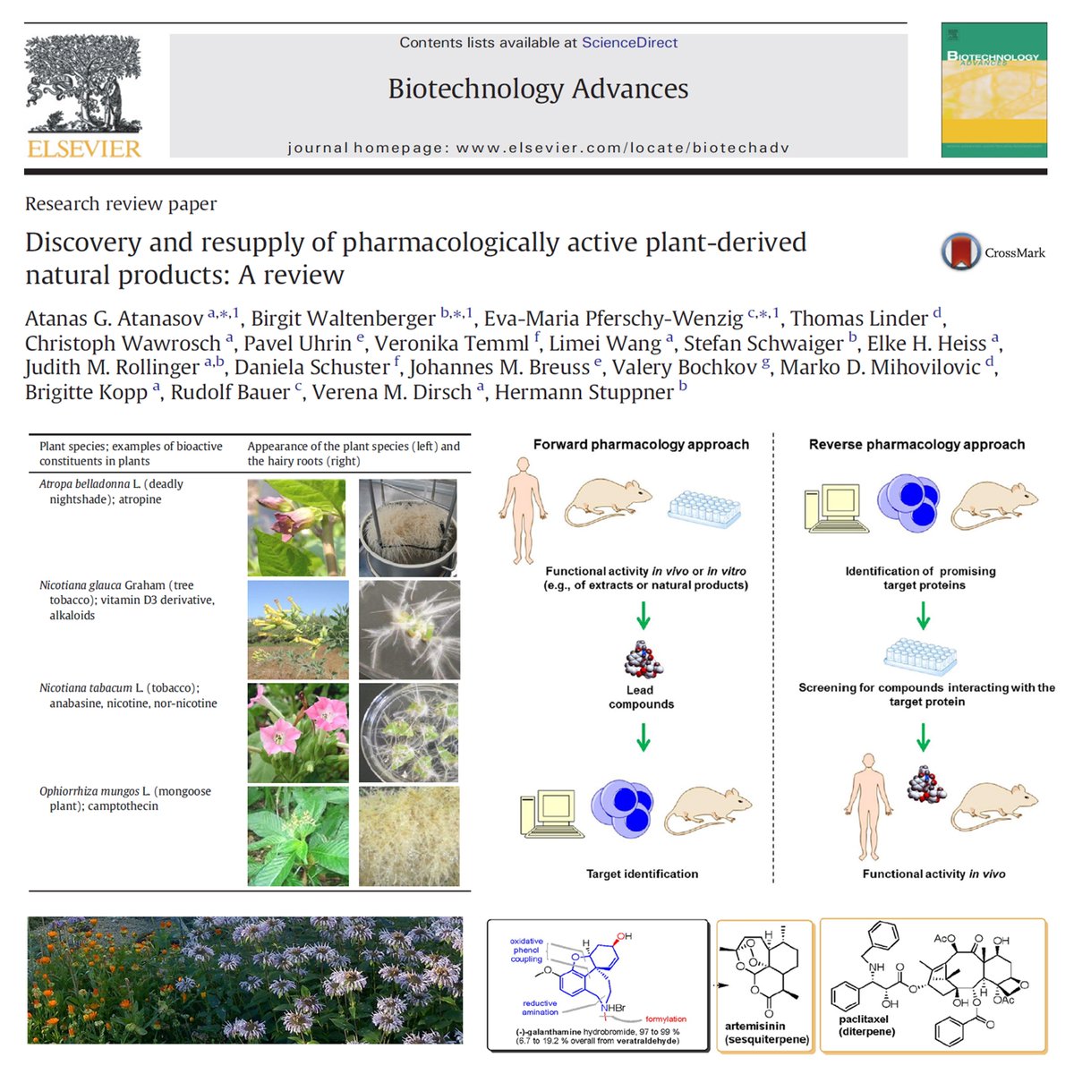 Discovery and resupply of pharmacologically active plant-derived natural products: A review

inpst.net/discovery-and-…

#INPST #Science #Health #Chemistry #Biotech #Pharmacognosy #Phytochemistry #Pharmacy #Pharmacology #News #Medicine #Food #SciComm #Phytochemicals #DrugDiscovery