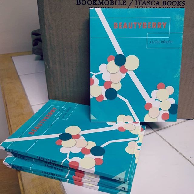 CassDonish's tweet photo. 💜💜💜 My books came! And they're beautiful! THANK YOU @slopeeditions for making my first book a reality! 💜💜💜 #poet #poetry #book #poetrybook #reading https://t.co/02ViVRBjAn https://t.co/1UOclu0tna