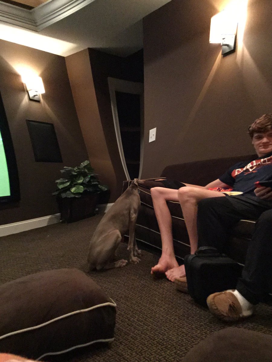 Davis Kampschror tweet media