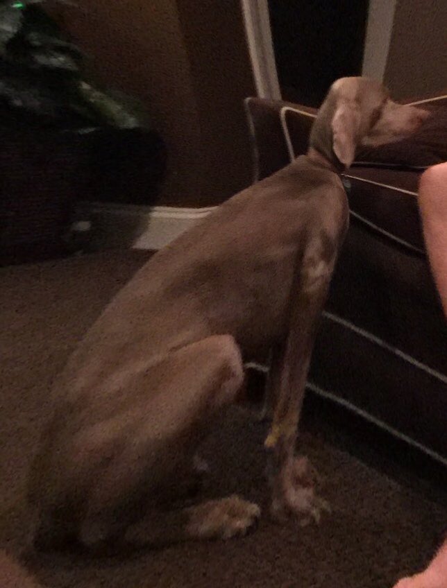 Davis Kampschror tweet media