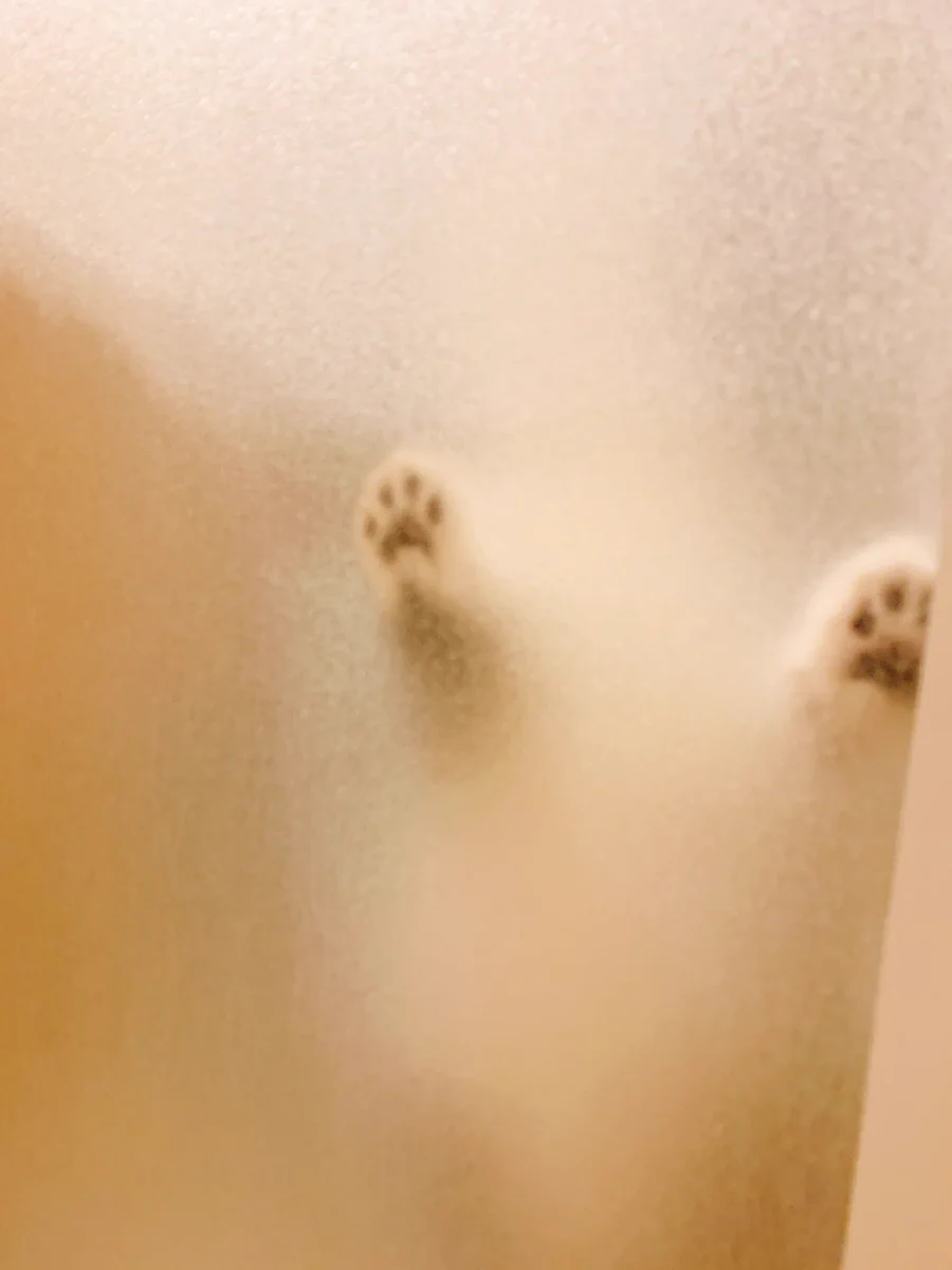 お風呂掃除をしていると、外から扉を叩く謎のシルエット...