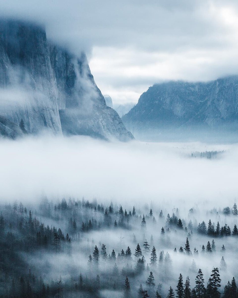 TFtrips's tweet image. Yosemite covered in snow ❄