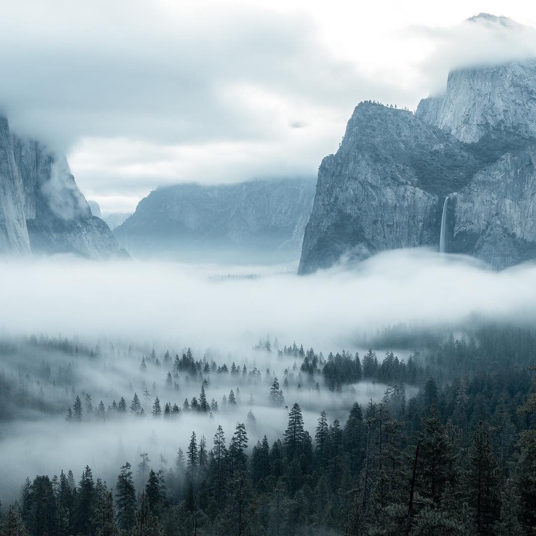 TFtrips's tweet image. Yosemite covered in snow ❄