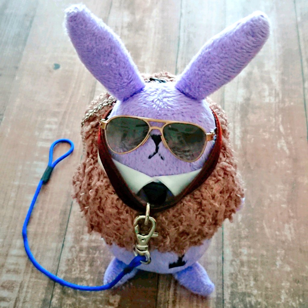 ねここ🕶️✨ tweet media