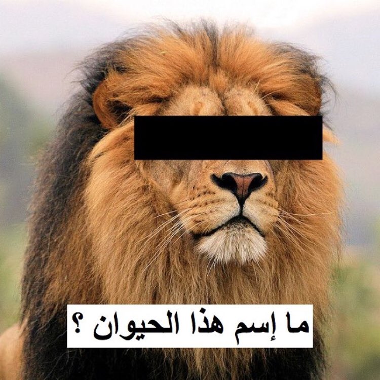 جاوب وسو رتويت وتابعني تدخل السحب على ايفون بدون غش
 #صباحات_الهلال