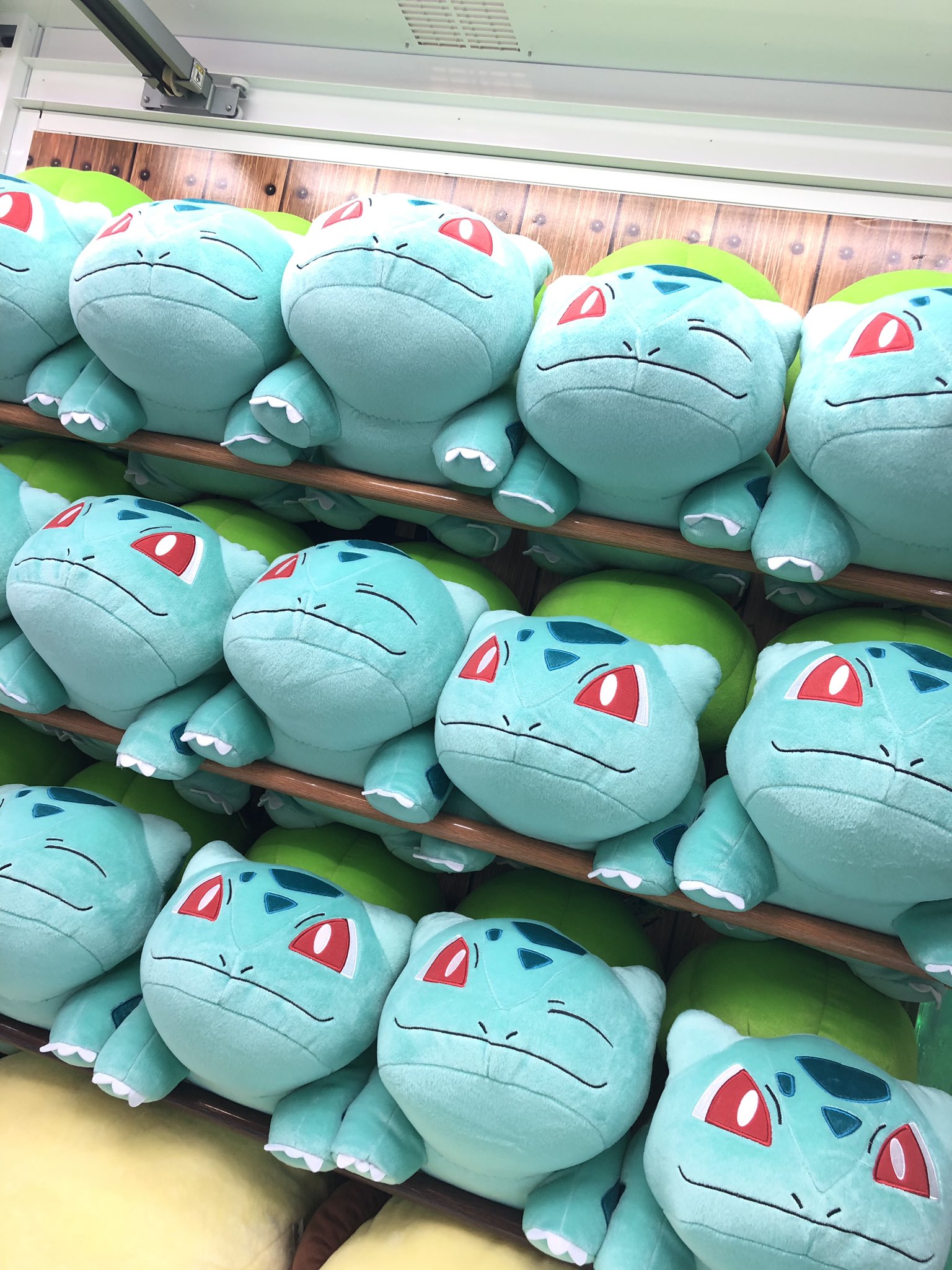 タイステ立川北口 24時まで営業中 2f プライズ 新景品 ポケットモンスター サン ムーン めちゃでかぬいぐるみ フシギダネ 全2種 人気のポケモンから フシギダネのぬいぐるみが登場 目がパッチリと ウインクしてるバージョンの2種 かわいい