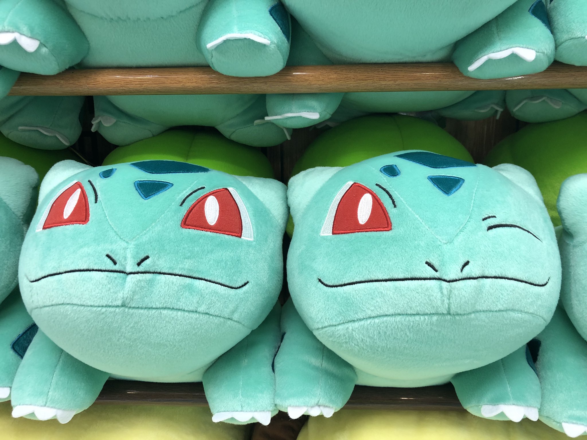 Twitter 上的 タイトーステーション立川北口 24時まで営業中 2f プライズ 新景品 ポケットモンスター サン ムーン めちゃでかぬいぐるみ フシギダネ 全2種 人気のポケモンから フシギダネのぬいぐるみが登場 目がパッチリと ウインクしてるバージョンの2