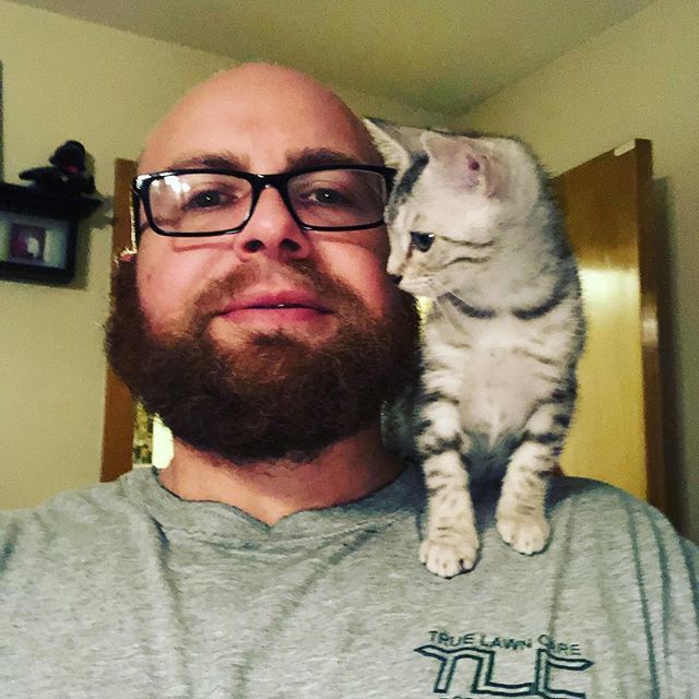 mrkoorey's tweet photo. My new friend #bengalcat #bengal #bengalkitten https://t.co/vGwDw38fjX https://t.co/pzhtlwLlGZ
