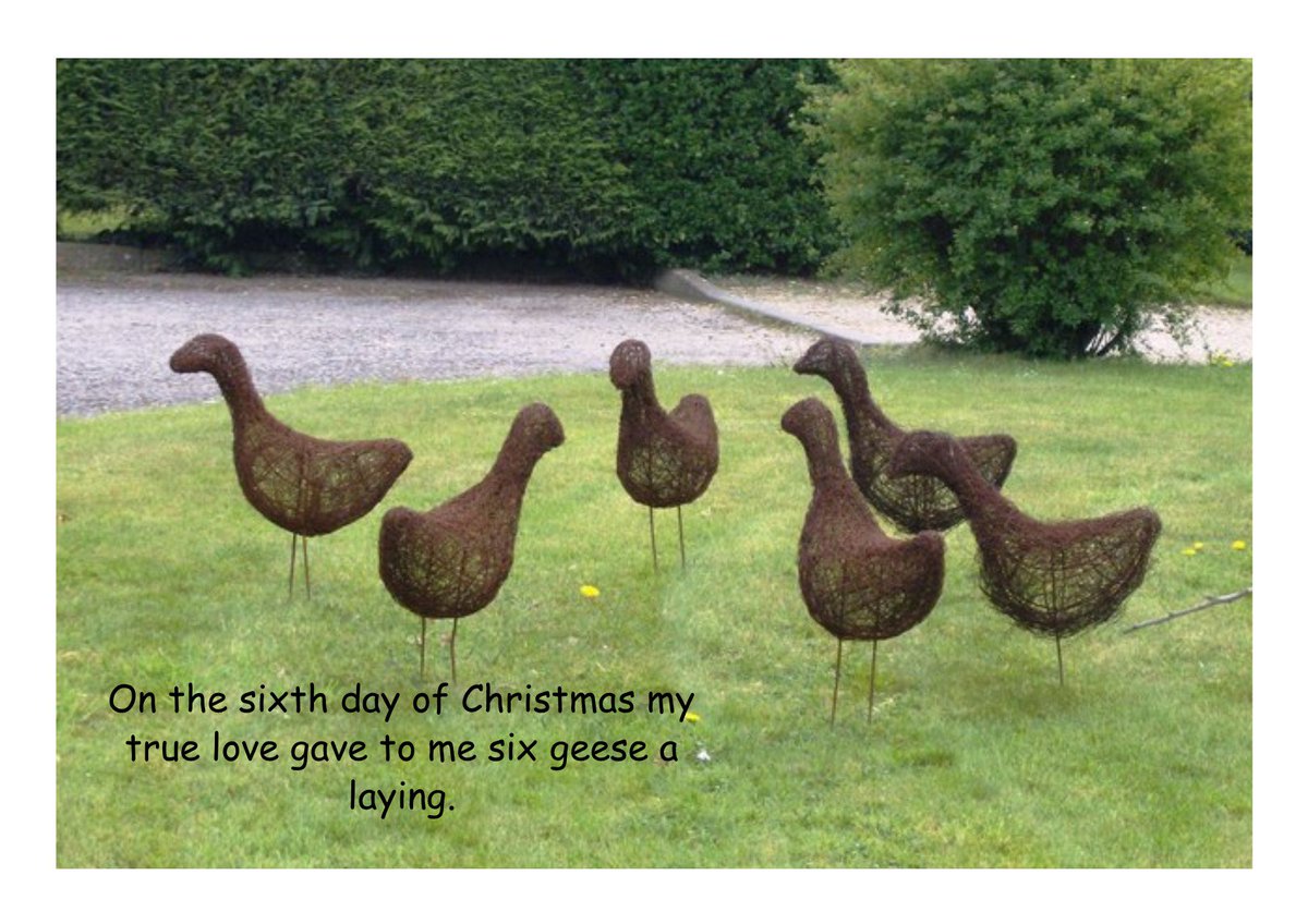 On the sixth day of christmas my true love gave to me six geese a laying.