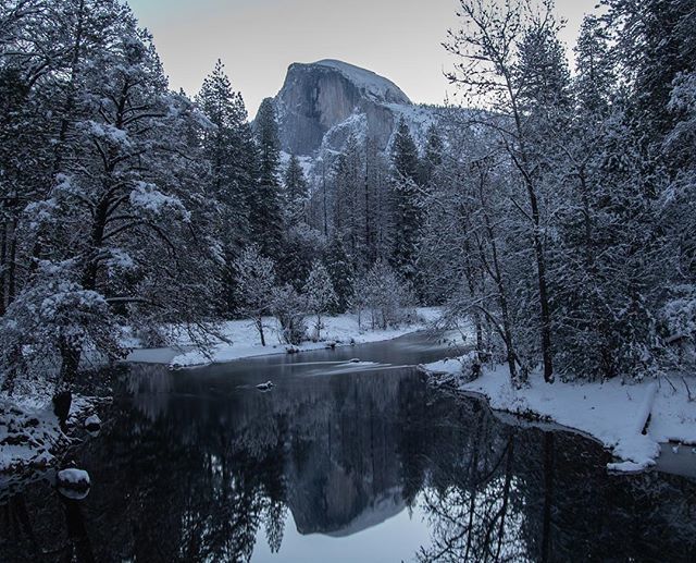 BrandonBrubaker's tweet photo. Half Dome - Yosemite - Fresh Snow
.
.
.
.
#nationalparkservice @yosemitenps #amazingtravelbeauty #amongthewild #halfdome #findyourpark #yosemite @bestnatureshot #yosemitenationalpark #yosemitenps #usinterior @yosemite_igers #ourwild #igcalifornia #bns_ea… https://t.co/tYomgWrIHz https://t.co/pD78cQGzmH