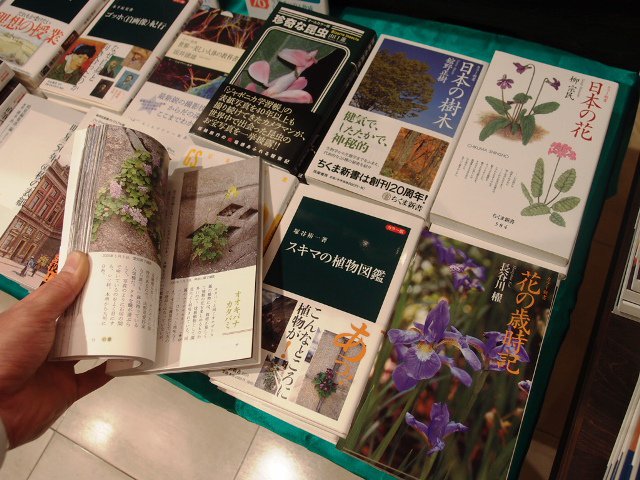 長崎書店 On Twitter 現在行なっているカラー新書フェアのおすすめ本