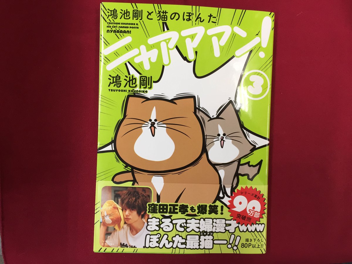 アニメイト大宮 弱キャラ友崎くんバレンタインデーフェア 開催中 A Twitter 書籍販売情報 鴻池剛と猫のぽんたニャアアアン 3 巻 が好評発売中マメ 笑える猫マンガ 第3巻マメ 描き下ろし80p以上なのでファン必見マメ アニメイト大宮 弱キャラ友崎くんバレンタインデーフェア 開催中 A Twitter 書籍販売情報 鴻池剛と猫のぽんたニャアアアン 3 巻 が好評発売中マメ 笑える猫マンガ 第3巻マメ 描き下ろし80p以上なのでファン必見マメ
