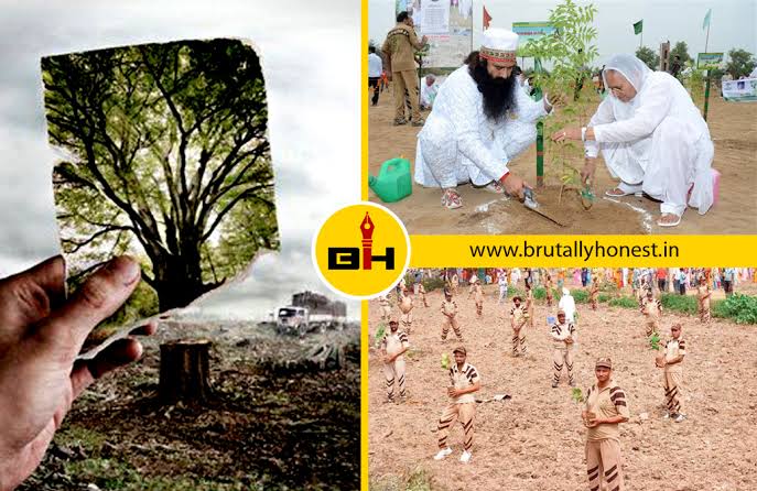 NehaIns21178287's tweet photo. @Gurmetramrahim #SaveEnvironmentToSaveLives Dr.msg papa has shown his concern over environment protection a decade ago. They have been teaching the people to protect environment by planting more and more trees 🌳 . https://t.co/fvjizSSrGO