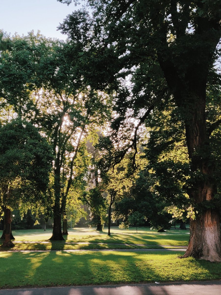 Summer
Richmond/Melbourne, Victoria #Australia