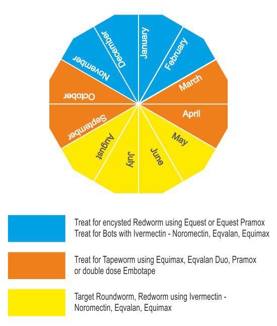 Horse Wormer Chart