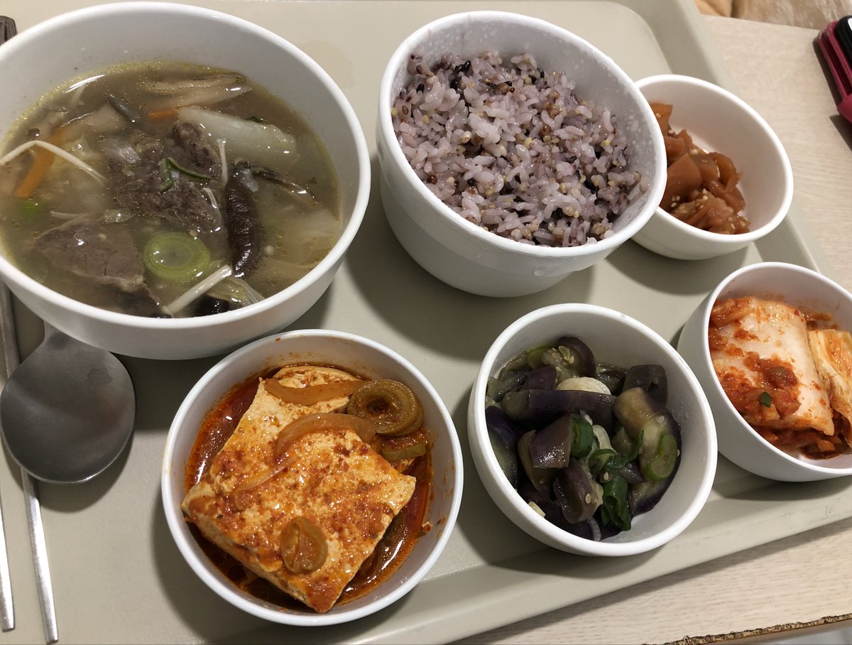 하는 나무  on X: 