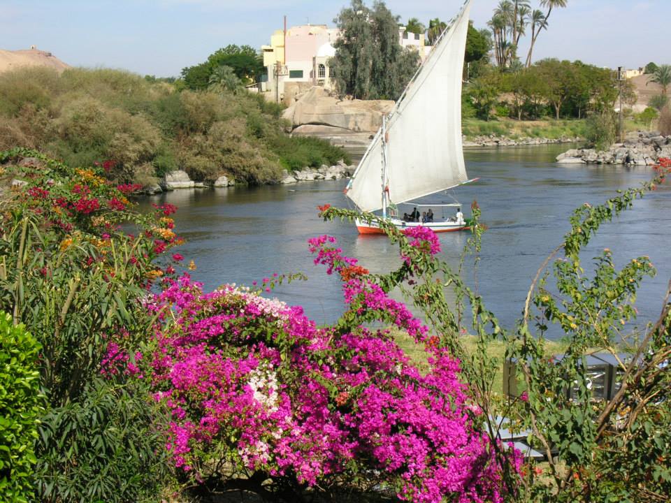 RawiaElsayd's tweet photo. #This_ is_Egypt https://t.co/Q39fmnzDFY