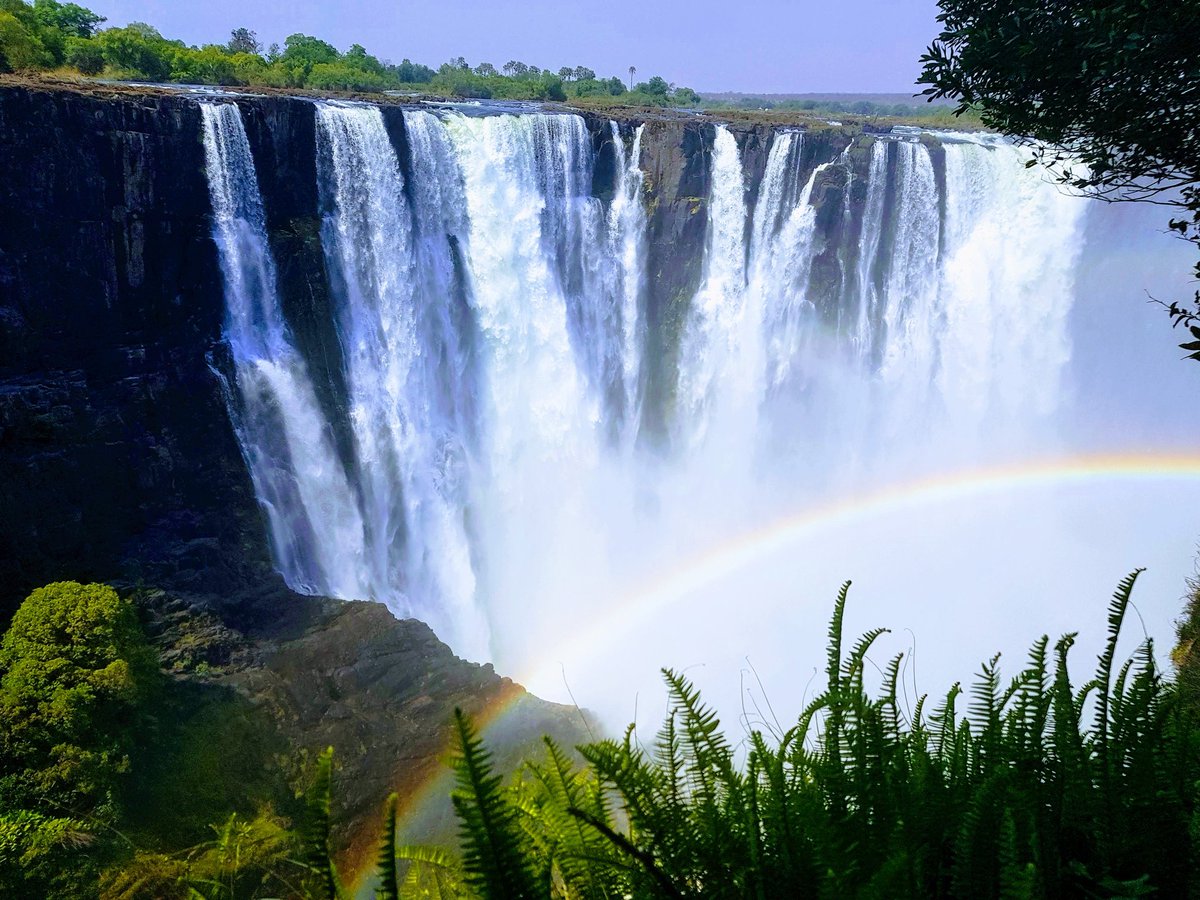 Hellomynameissuegreenwood On Twitter Good Morning