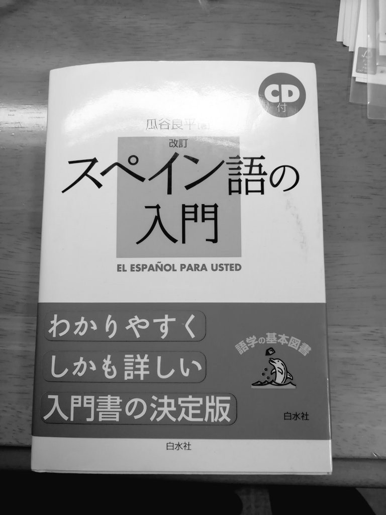 ユウイチ 英語 中国語 次はスペイン語を学ぼうかな 英語ある程度話せたらええやんとよく言われるんやけど 目的はどれだけ世界中の人と 深い仲 になるかやからできる限りたくさんの言語を学びたい 見知らぬ土地で こんにちは って言って