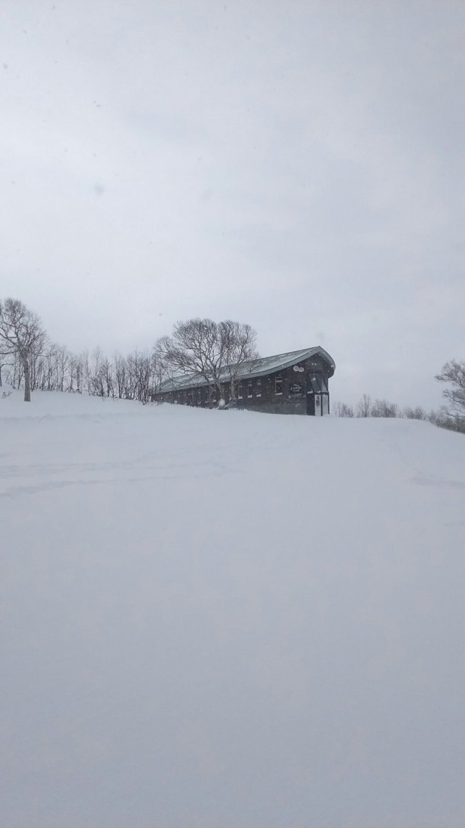 hiltonnisekocon's tweet image. 今日の山頂、ルックアウトカフェ🎿曇りで視界はあまり良くありませんでしたが、最高のパウダーが降り続いていました！
View of top of the mountain. Visit Lookout Cafe if you go up there by gondola!

#ヒルトンニセコビレッジ #パウダースノー #viewfromawindow