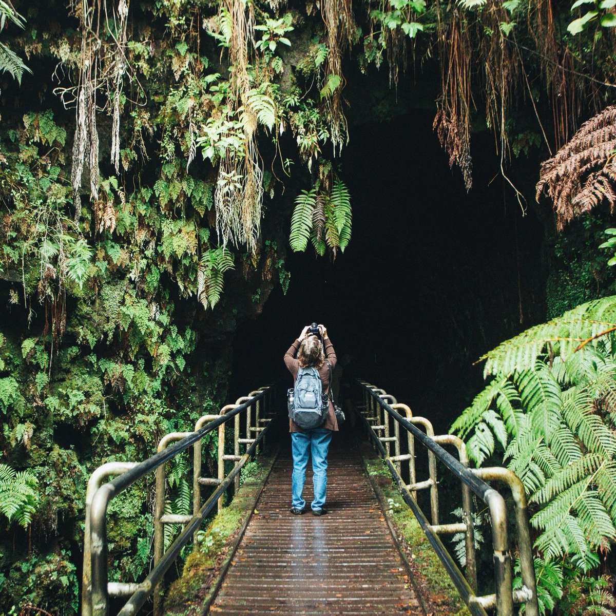 gohawaiica's tweet photo. Step into the great unknown with a sure foot and #aloha in your heart! #InspireAloha #LetHawaiiHappen #HappyNewYear2019 #ThurstonLavaTube https://t.co/g1ERgjlz5Y