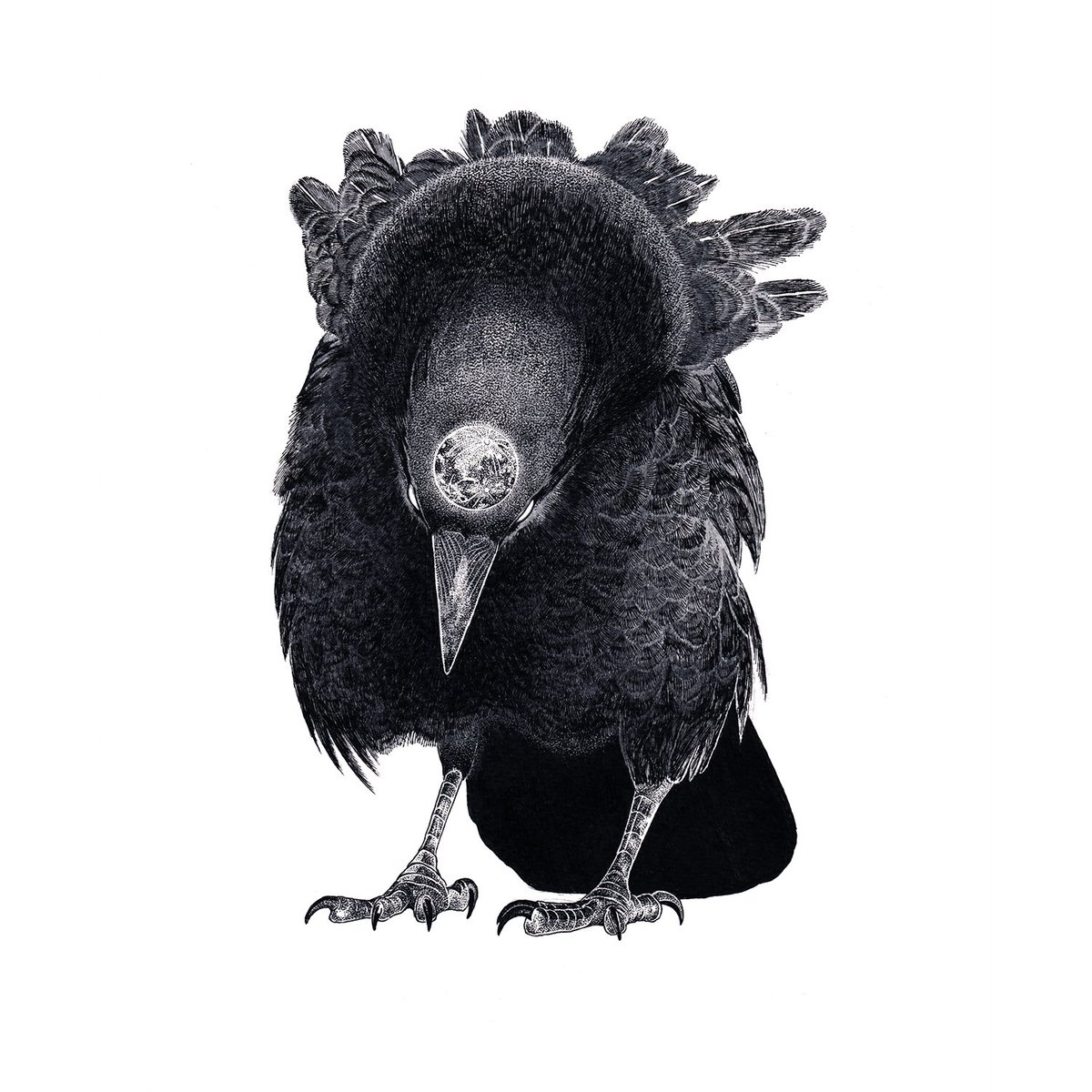 「描き溜めてきたものも含めてみてもらえるように来年4月の二人展へ向けて頑張ります。」|IKEDA Sakiのイラスト