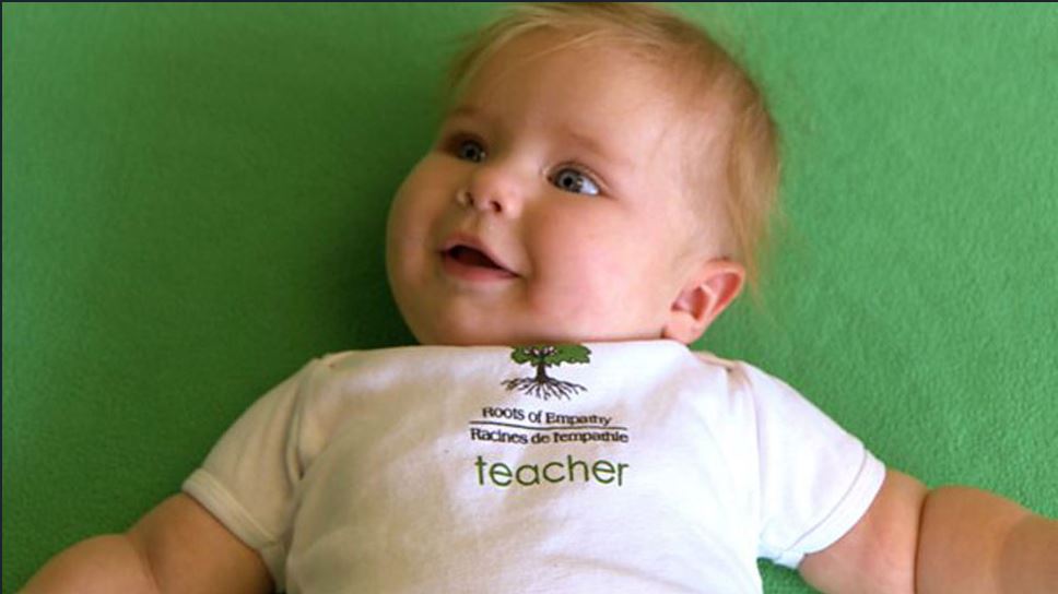 24HorasTVN's tweet photo. Los "profesores" de 6 meses de edad que enseñan en colegios en varias partes del mundo https://t.co/LAiF5rXFba https://t.co/rgdlBWt7KO