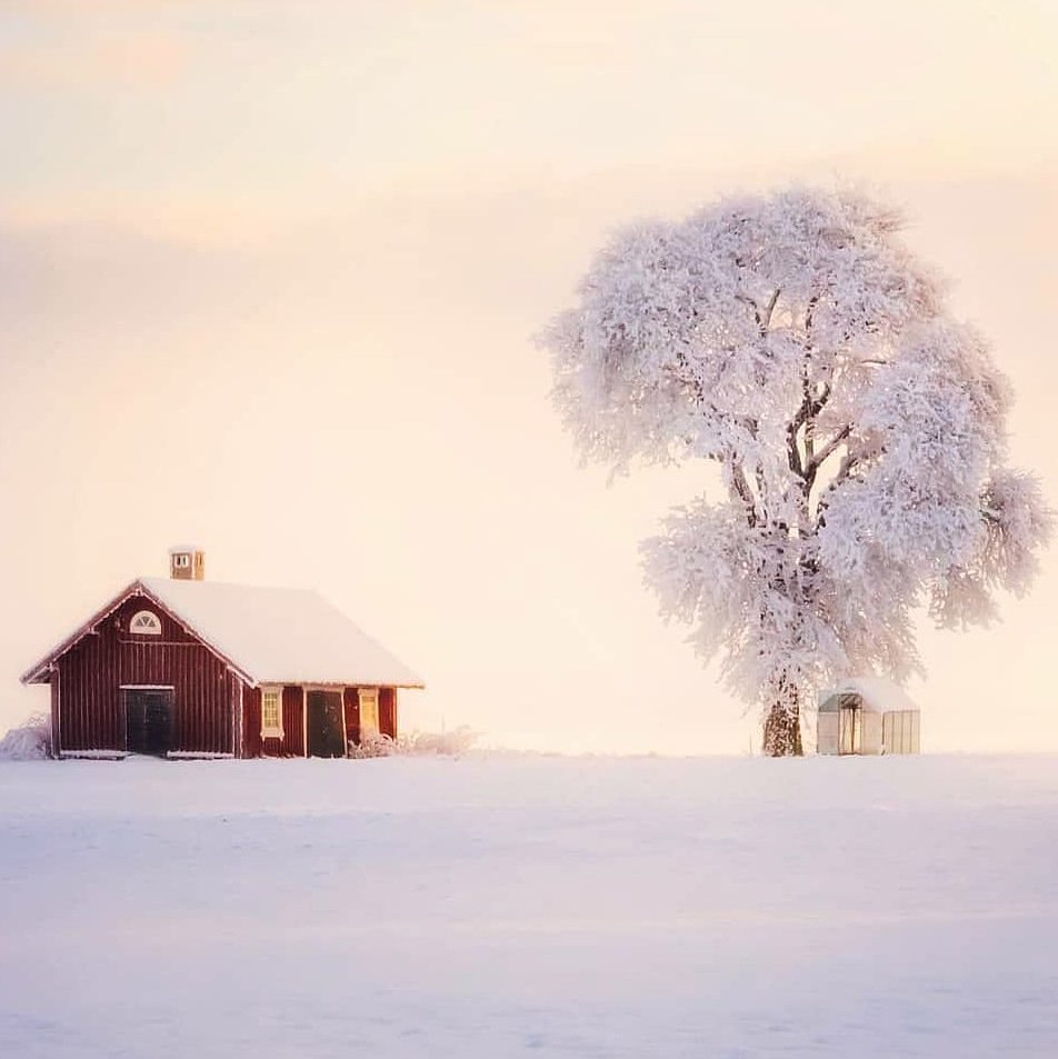 NatureforHuman's tweet photo. (📷: @mattias_arkved )
❄⛄
.
.
#naturephotography #nature #naturelovers #photography #natureinspired #nature_good  #world #winter #snow https://t.co/Au9yIJ0MnQ