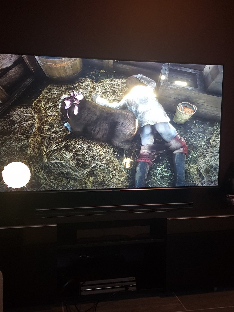 spursleif's tweet photo. #RedDeadRedemption2 #RDR2 #sheepshagging What did I just come across?? 😂😂😂 https://t.co/kNIhDpkXLX