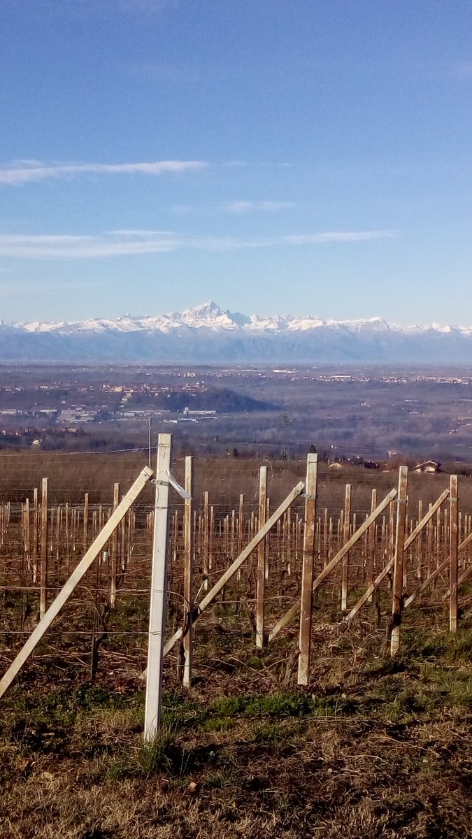 AlbaInLanghe's tweet photo. Maestoso Monviso! #AlbaInLanghe #Langhe https://t.co/iye66lWQDy