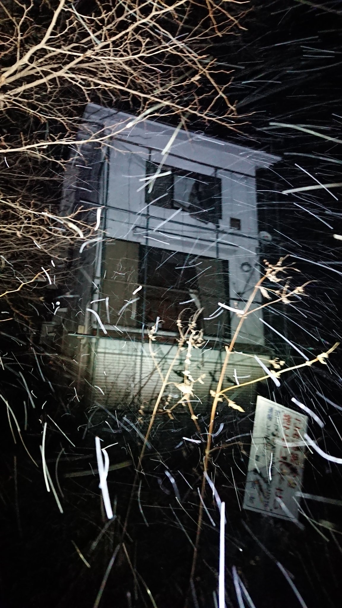 光主任 Twitter પર 今から一人で心霊スポットにロケいってきます 群馬県で最近ブームになってきてる心霊スポット 群馬県心霊スポットの 白い家 雪降ってて天候最悪 白い家 白い家心霊スポット 群馬心霊スポット ゾゾゾ 光主任 赤城山白い家 光主任 Twitter પર 今から一人で心霊スポットにロケいってきます 群馬県で最近ブームになってきてる心霊スポット 群馬県心霊スポットの 白い家 雪降ってて天候最悪 白い家 白い家心霊スポット 群馬心霊スポット ゾゾゾ 光主任 赤城山白い家
