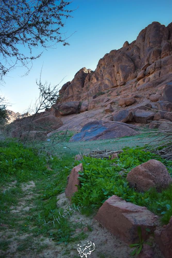 YI2PX's tweet photo. جديدي 📸
لـ #ربيع_حائل 
#حايل ، #توارن 📍 
ارفع السطوع لترى الصورة بشكل اوضح 💡
رايكم ♥️ https://t.co/ou47yVbNBZ