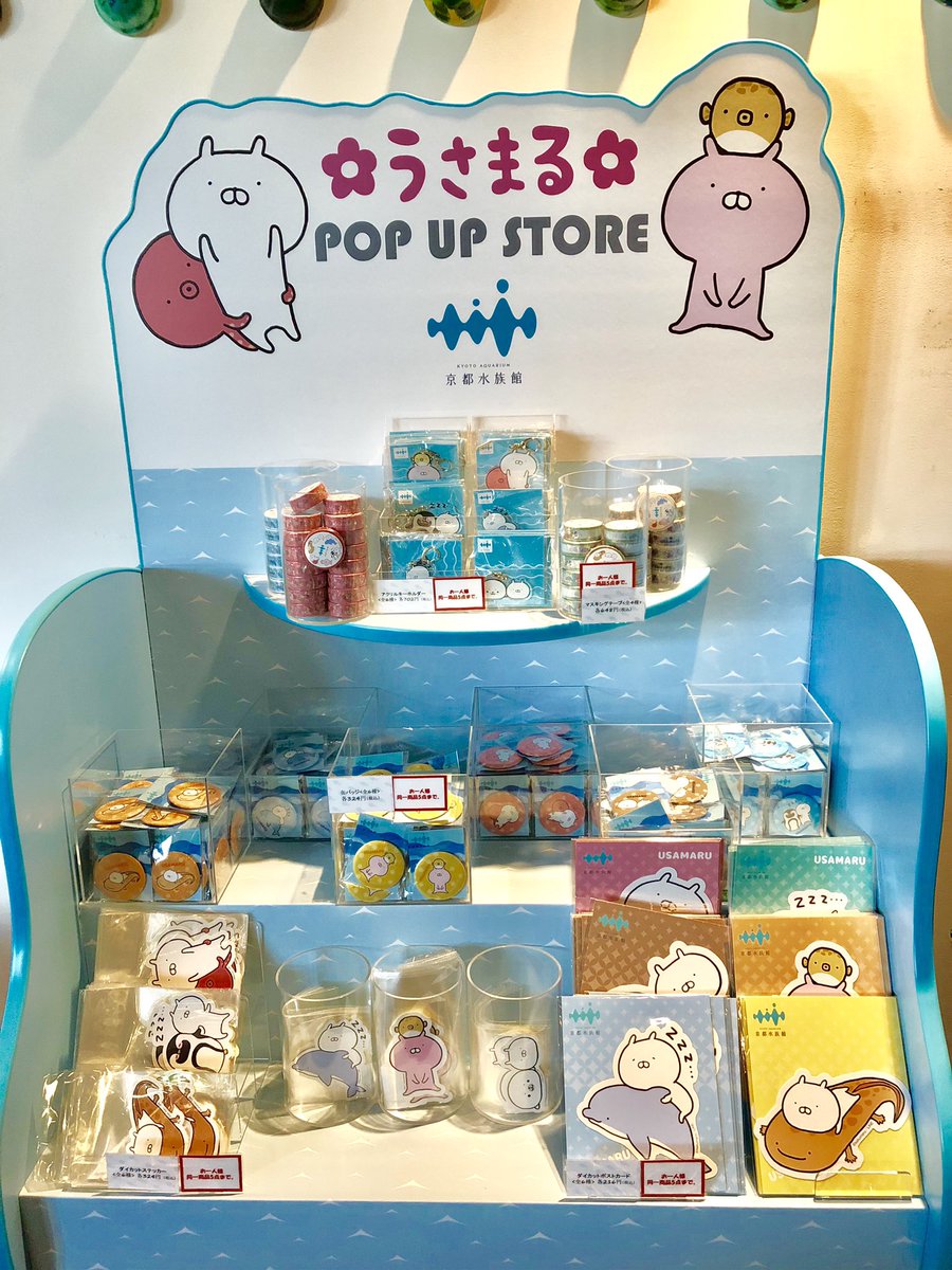 うさ 京都水族館 うさまるのグッズ売り場 一角がうさまるで溢れてた ガチャガチャは オオサンショウウオが狙い目やったけど出なかった うさまる うさこ 京都水族館 うさまるとお出かけ うさ 京都水族館 うさまるのグッズ売り場 一角がうさまるで溢れてた ガチャガチャは オオサンショウウオが狙い目やったけど出なかった うさまる うさこ 京都水族館 うさまるとお出かけ