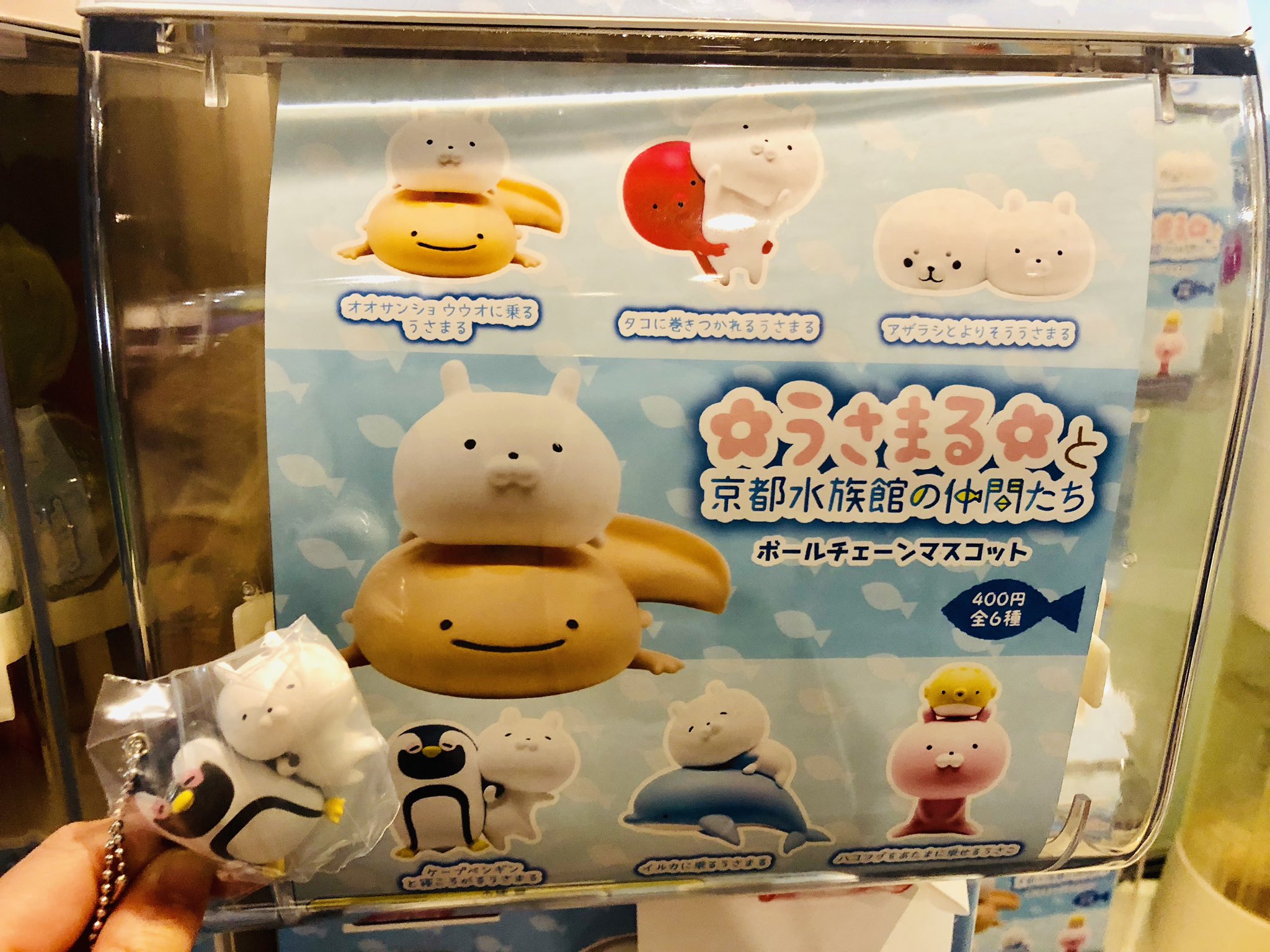 専用 うさまる 京都水族館、すみだ水族館、サンシャイン水族限定 マスキングテープ 専用 うさまる 京都水族館、すみだ水族館、サンシャイン水族限定