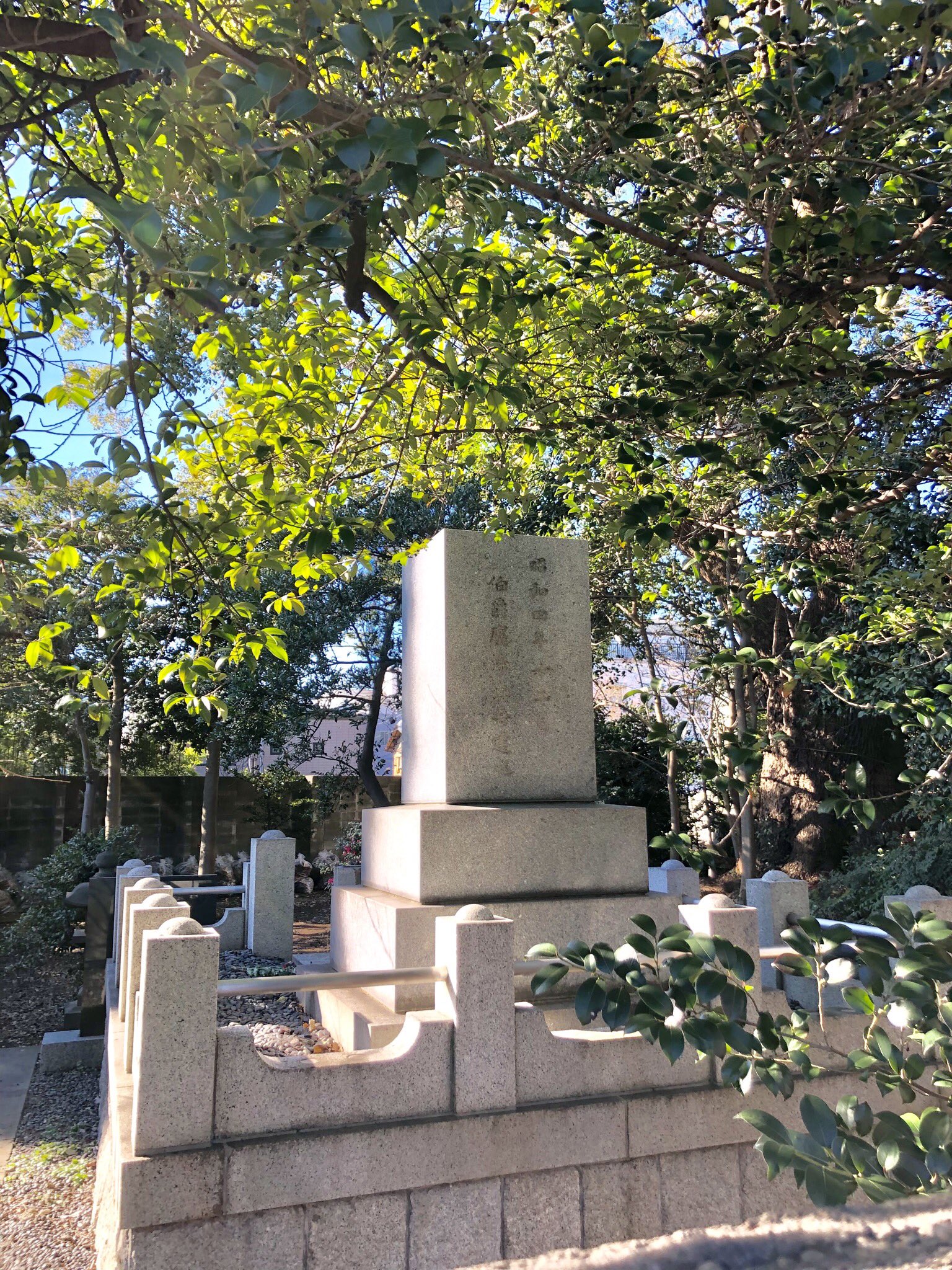 掃苔趣味の若人 on Twitter 