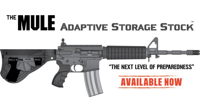ライフルの銃床に拳銃を収納するという発想の銃器アクセサリーについて bit.ly/2EZMAQX