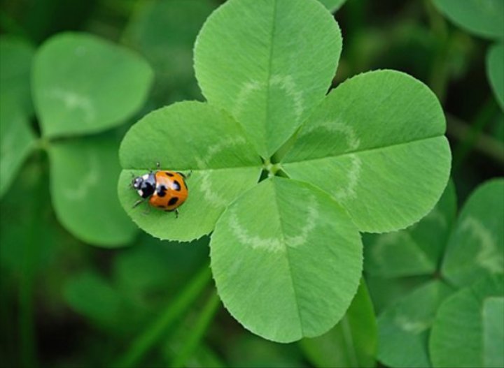 HamitKaraman9's tweet image. Thankyou Tşk ederim wcwcwcwcwc mutlu ve huzurlu yeni bir yol olsun