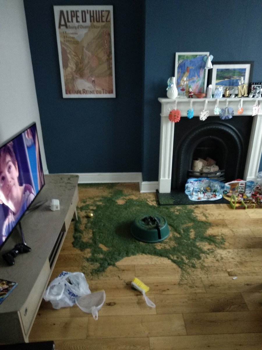 HammondMat's tweet photo. #Treexit - we've got our living room back! https://t.co/r6JeVjrZzJ