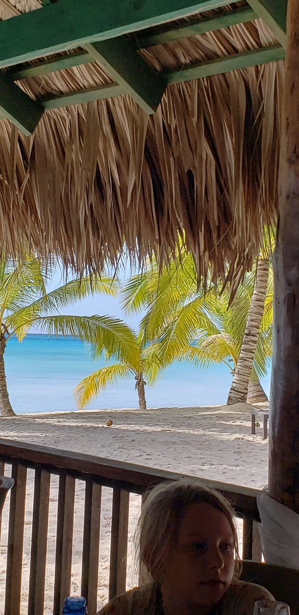 marlomolinaro's tweet image. Wasn't able to use my phone for almost a week...🤩🤩 I loved it!!  But I didn't get to share this beautiful site Christmas day! Hope all my @KennedyCougs family had an amazing day with their families.
@AliefISD 
#levelingup
#swamwithdolphins
#changingmygame