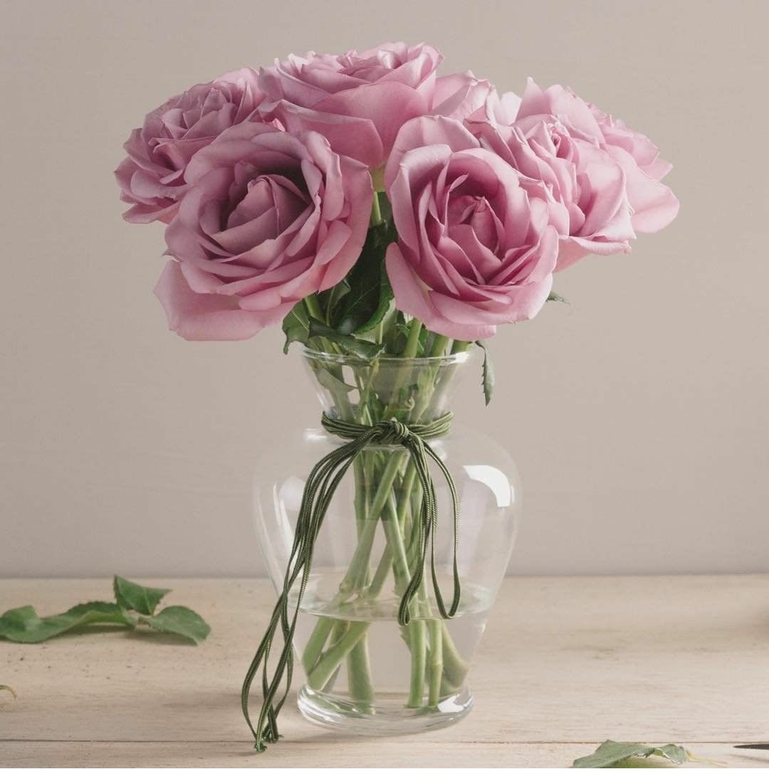 I'm at Ginásio Municipal de Ananindeua (Abacatão) in Ananindeua, Pará w/ @marcos79670448 <a href="/gilbertolobo28/">Gilberto</a> @michaels2jp @wirleyalves <a href="/gustavoguini/">gustavo guini</a> @guiltonmoura swarmapp.com/c/68IOWYKJnXZ