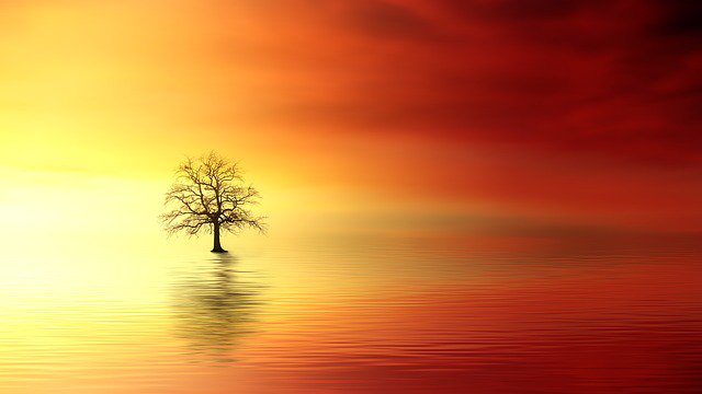 2sisterswriting's tweet photo. Elizabeth Kubler Ross taught that it was important to heal any unfinished business before crossing over...not to take it to the other side. #rememberingandforgetting #SundayMorning #read #SundayMotivation #ElizabethKublerRoss #grief #blessings #mindfulness https://t.co/HGKI5QFpRD https://t.co/aDd9bcMCGU