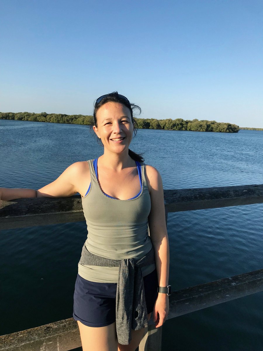 As a marine biologist I'm a little too excited that these rare cold water #mangroves are a stones throw from home. We need to look after these #adelaide forests @CityofPAE!