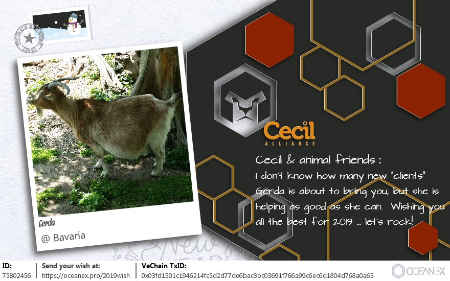 coin1x1's tweet photo. Let's rock 2019 @Cecil_Alliance
#BestWishestoVeFam2019 #VeChainThor #VeChain #OceanEx #SafeHaven #Plair #Dbet #Cecil #CAHrenheit #TicTalk #AQUA https://t.co/YbfI949w2z