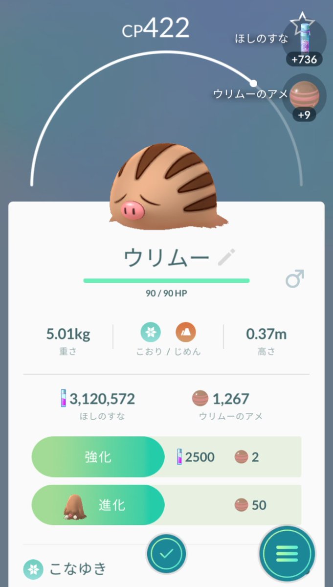かっちゃん ８ ８gofest横浜 今日ポケモンｇｏでタマゴから孵化したポケモン ２ｋｍタマゴその２ 超大当たり ウリムー 芸術で攻撃と防御が最高 ２ｖ ９８ ウリムー系では初めての９８ これで マンムー が実装されたあとに ９１
