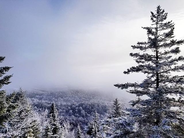 btmtblog's tweet photo. C'était magnifique au sentier du ruisseau des chênes ce matin. Crampons essentiels. #sepaq #trailrunning #hiking #ultratraining https://t.co/VvMj3Bt9v2 https://t.co/uTxSdmhqJX