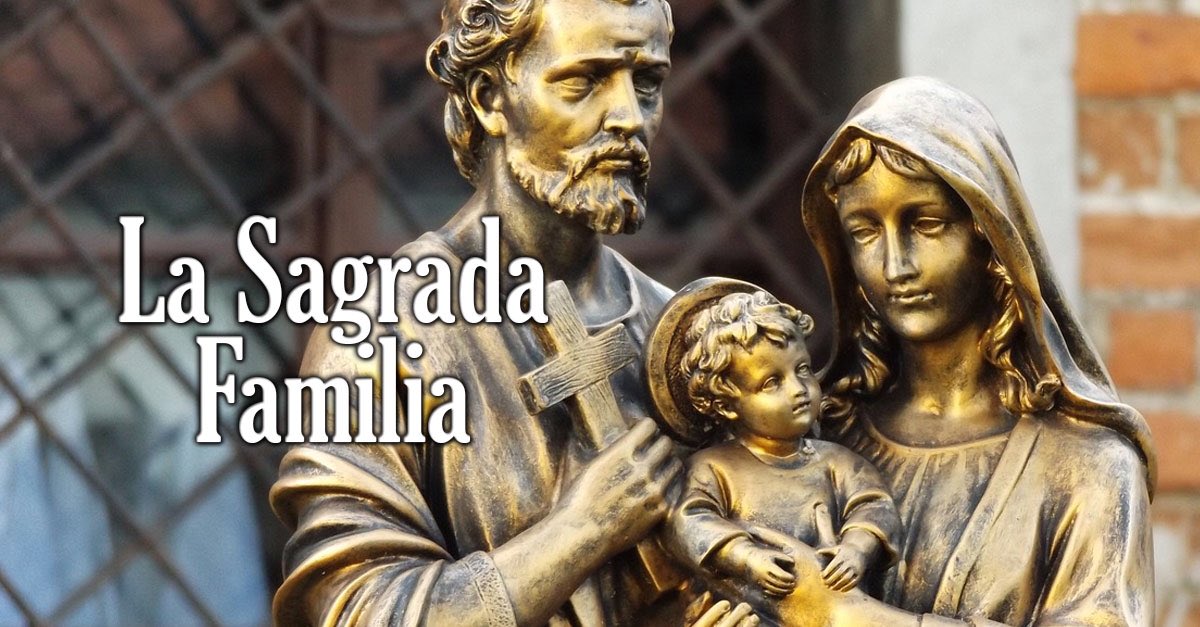 RecAnahuacPue's tweet photo. Hoy es día de la Sagrada Familia! Que cada uno de nosotros encuentre en su familia una fuente de inspiración, un remanso de paz, un gimnasio de la generosidad y el lugar perfecto desde el cual construir una mejor sociedad de la mano de Dios. https://t.co/PBOud5COnA