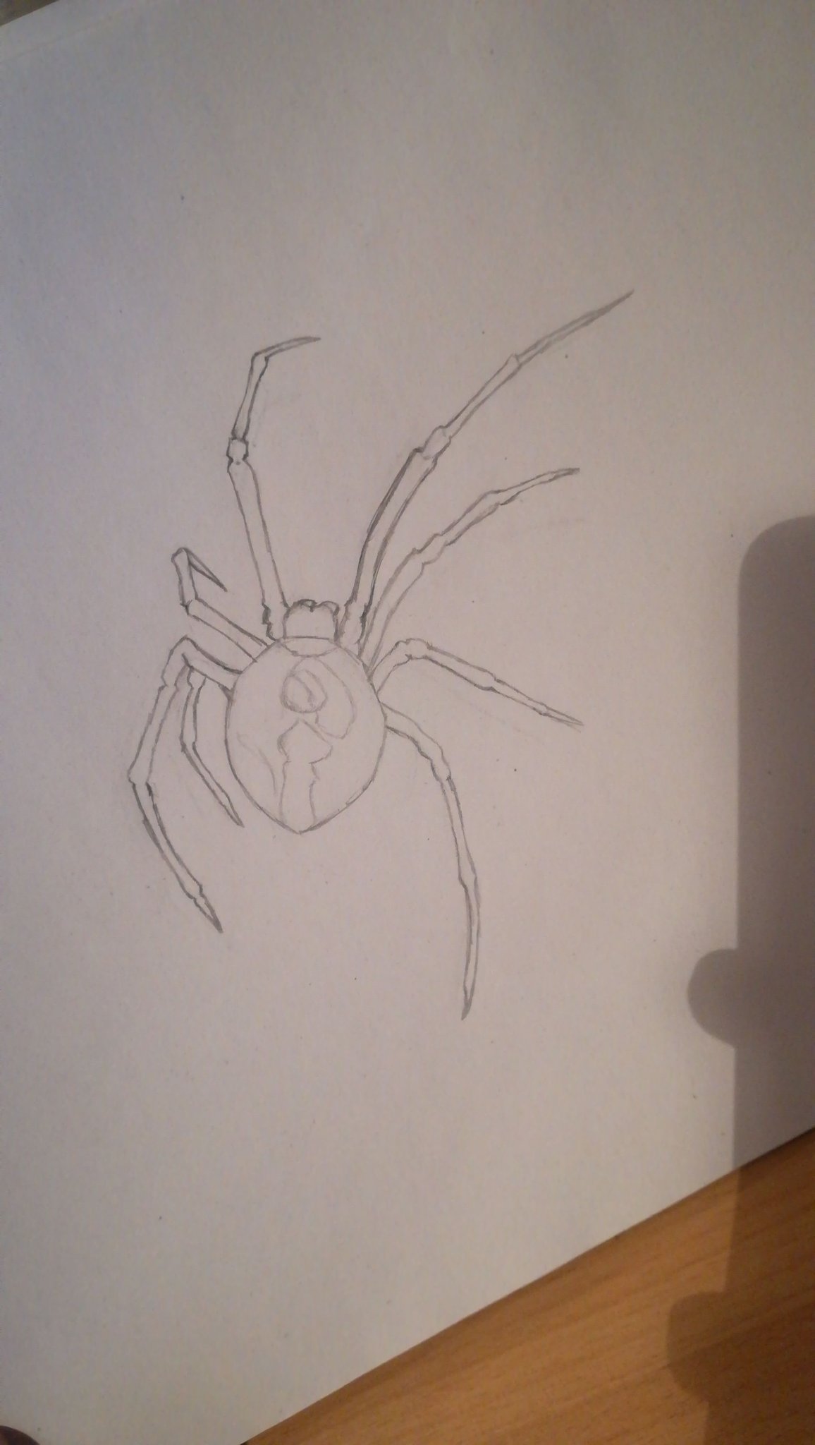 Simple 3D spider  Sketches easy 3d drawings Drawings