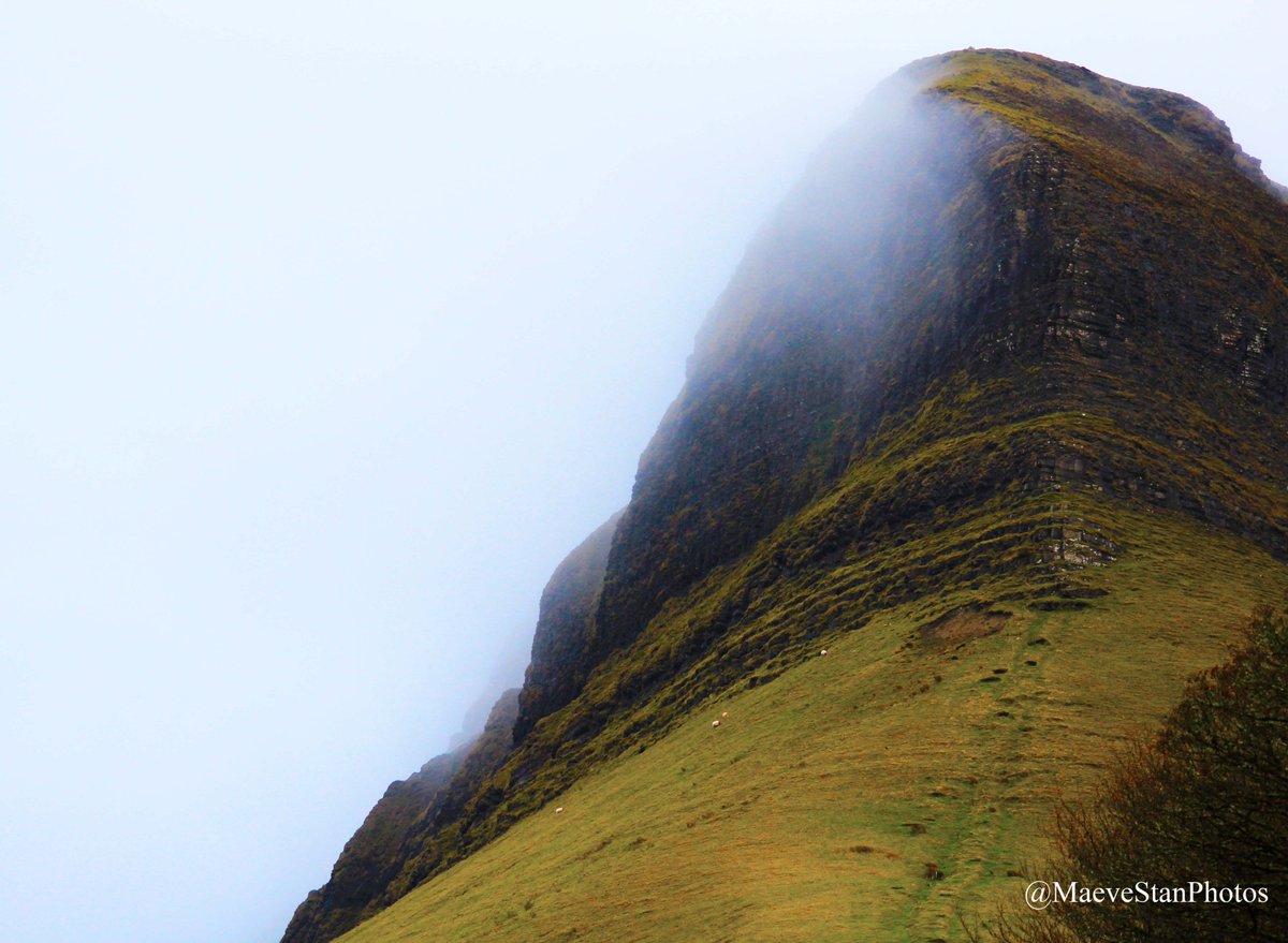 MaeveStanPhotos's tweet photo. Moody Benbulben
*
*
*
#Benbulben #Mountain #BestOfSligo #WildAtlanticWay #DiscoverIreland #LoopWalk #Nature #Outdoors #Landscape #Clouds #Canon #ZoomLens https://t.co/UzE5ur6emB